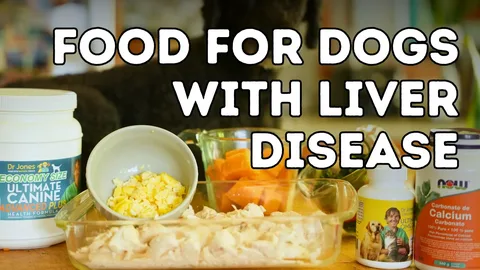 Homemade Dog Food for Liver Disease