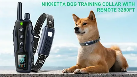 Invirox Dog Training Collar