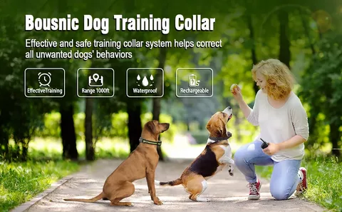 Bousnic Dog Training Collar Manual