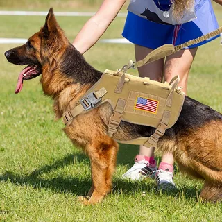 Dog Training Vest