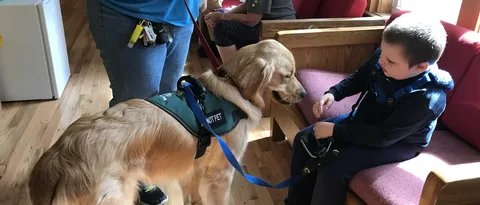 Tracking Dog Trained Elopement Autism