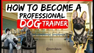 how do i become a dog trainer for the police