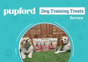 Small Training Treats for Dogs