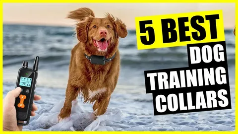 Invirox Dog Training Collar