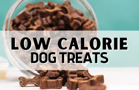 Low Calorie Training Treats for Dogs