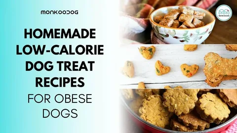Low Calorie Training Treats for Dogs