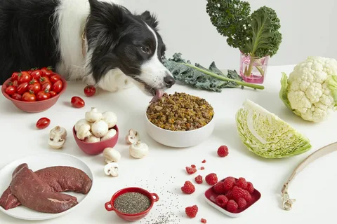 best diet for dogs at different ages