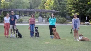 Dog training Northampton ma and Geneva