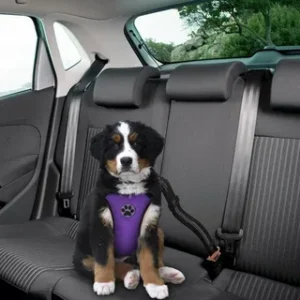Car Harness for Puppies