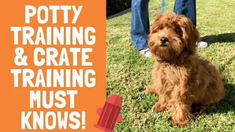 Potty Training Spray for Puppies