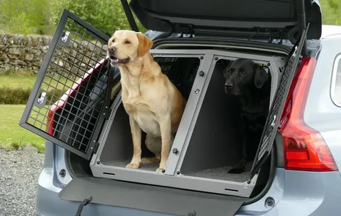 Puppy Travel Crate for Car