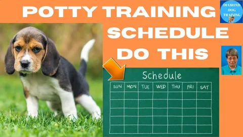 Puppy Potty Training Schedule