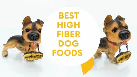 Dog High Fiber Foods