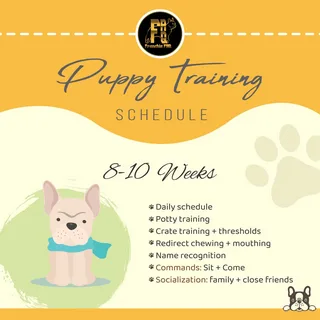 Puppy Potty Training Schedule
