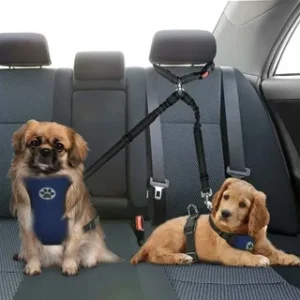 Puppy Seat Belt for Car