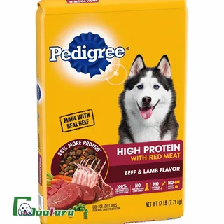 High Protein Dog Food
