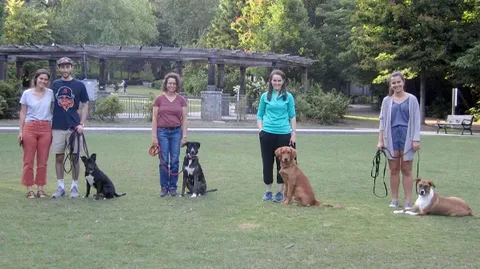 Dog training Northampton ma and Geneva