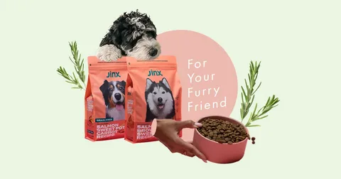 Jinx Dog Food Review