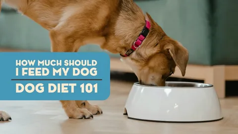 What Foods Should Dogs Avoid? Safety Guide