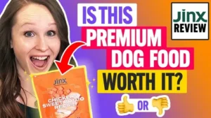 Jinx Dog Food Review