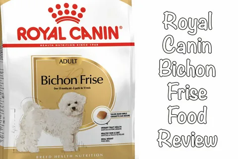 Dog Food for Bichon Fries